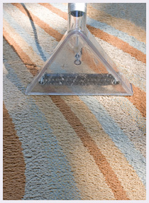 Carpet Cleaning